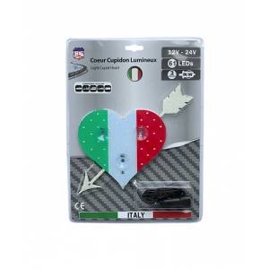 http://newco-france.com/5313-thickbox/coeur-lumineux-pays-23-x-25cm-61-leds-12-24v-italie.jpg