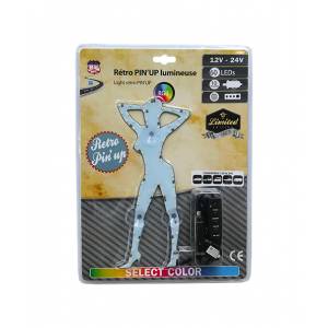 http://newco-france.com/5817-thickbox/pin-up-retro-lumineuse-60-leds-12-24v-multicouleurs.jpg