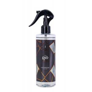 http://newco-france.com/6800-8419-thickbox/parfum-auto-spray-300ml-neovision-gio-.jpg