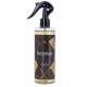 PARFUM AUTO SPRAY 300ML NEOVISION "HERMES"