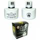 DESODORISANT GREAT-LION 138ML EXPRESSION